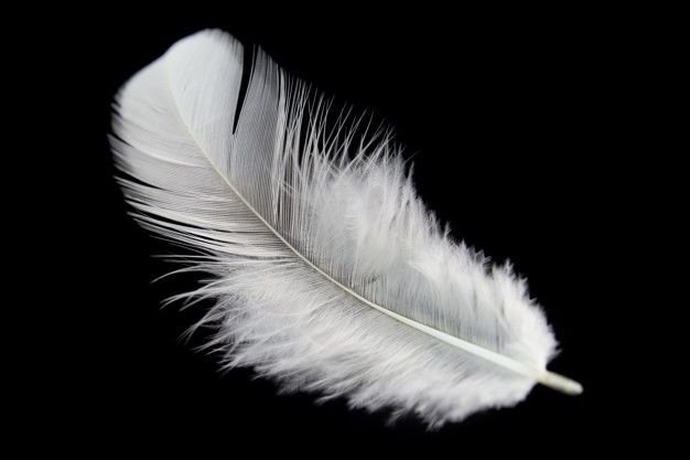 e87a530ead8a8749c08f50cecb9d6536