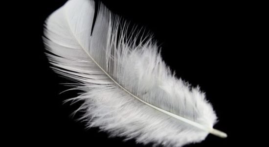 e87a530ead8a8749c08f50cecb9d6536